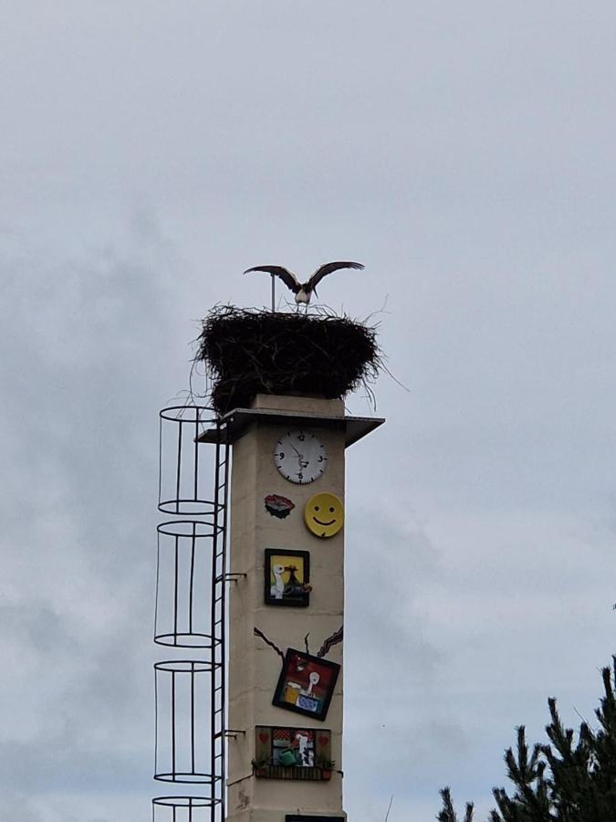 Ferienwohnung Fam. Natusch Steinhofel Buitenkant foto